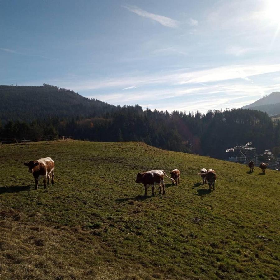 Schwarzenberg  S'Heimatgfuehlヴィラ エクステリア 写真